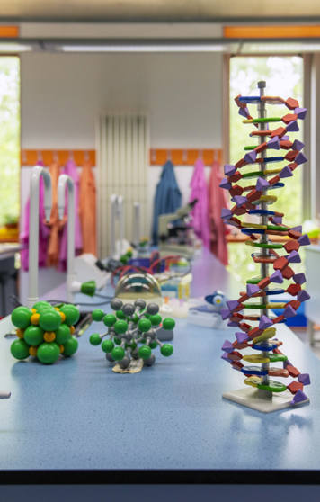 A brightly lit science laboratory with colorful molecular models and a large DNA double helix model displayed on a central blue workbench, with lab coats hanging by the windows in the background. A brightly lit science laboratory with colorful molecular models and a large DNA double helix model displayed on a central blue workbench, with lab coats hanging by the windows in the background.